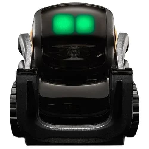 Vector