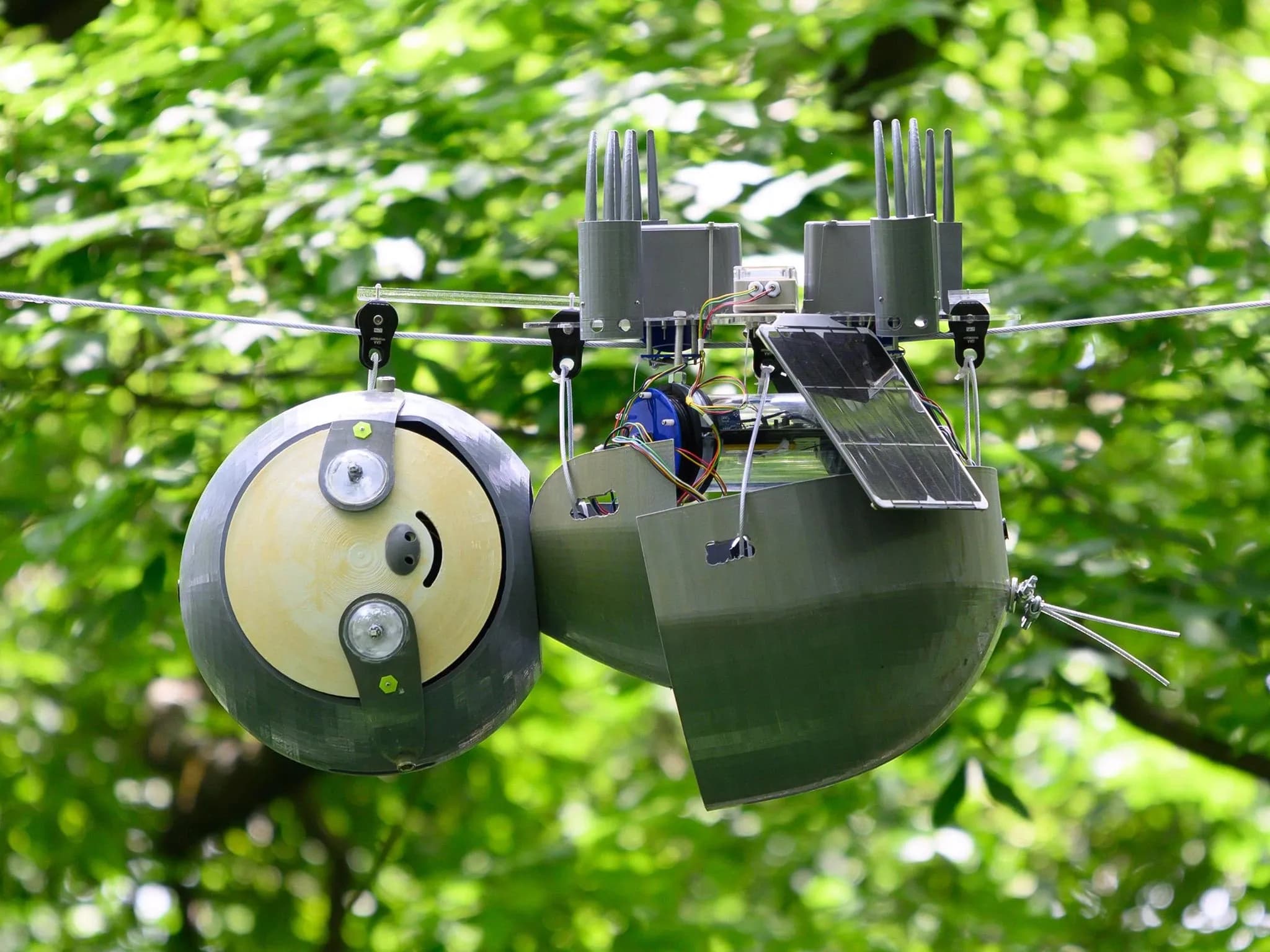 Роботизированный ленивец SlothBot висит вниз головой на тросе среди зелёных деревьев. Оснащён солнечной панелью и электроникой.