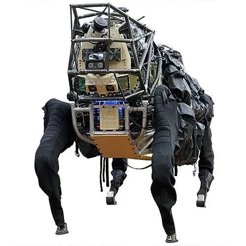 AlphaDog