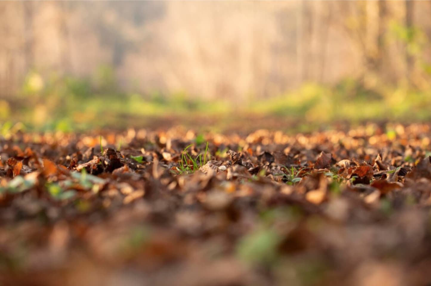 Cognitive Agro Pilot