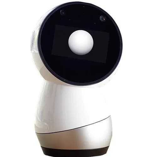 Jibo