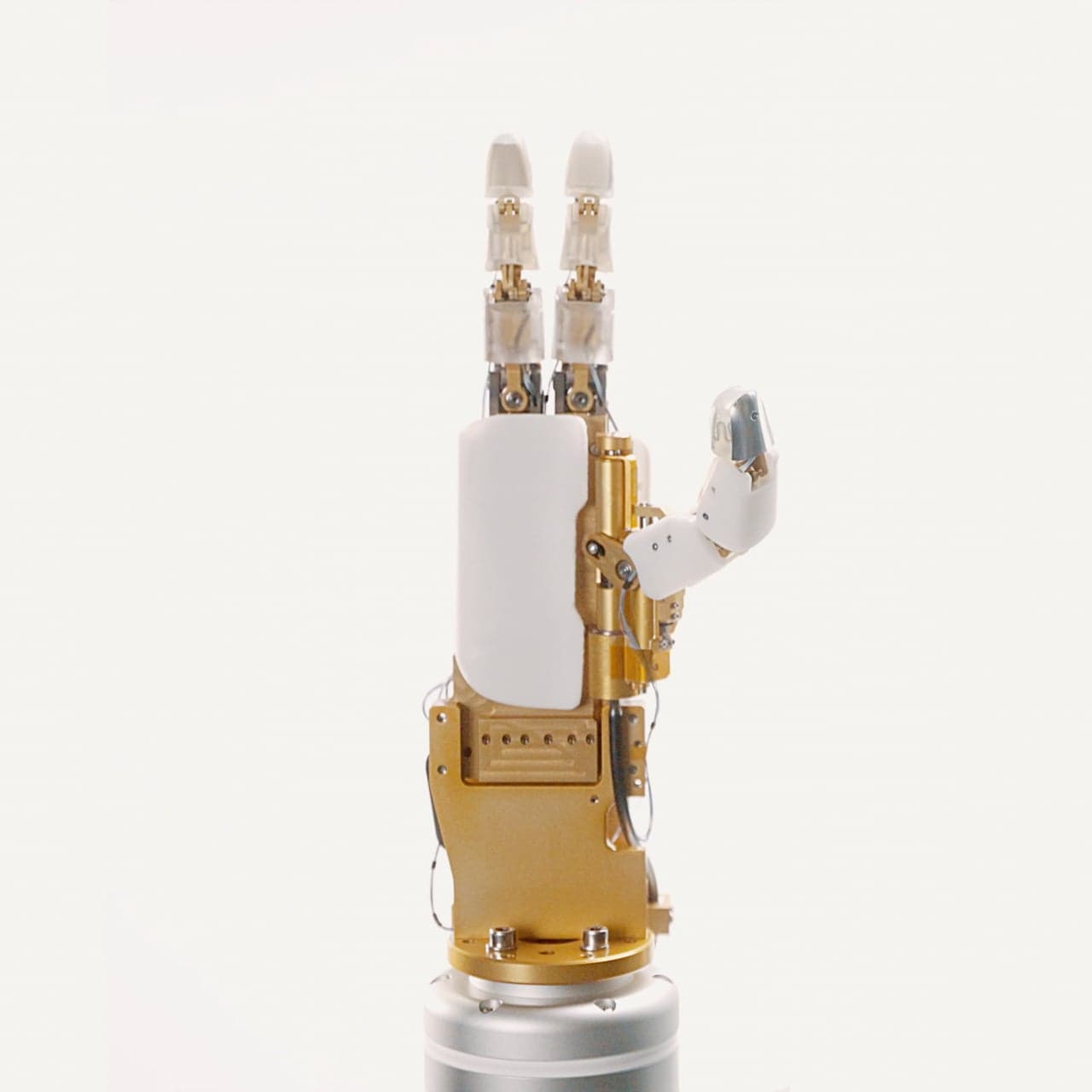 TactaBot