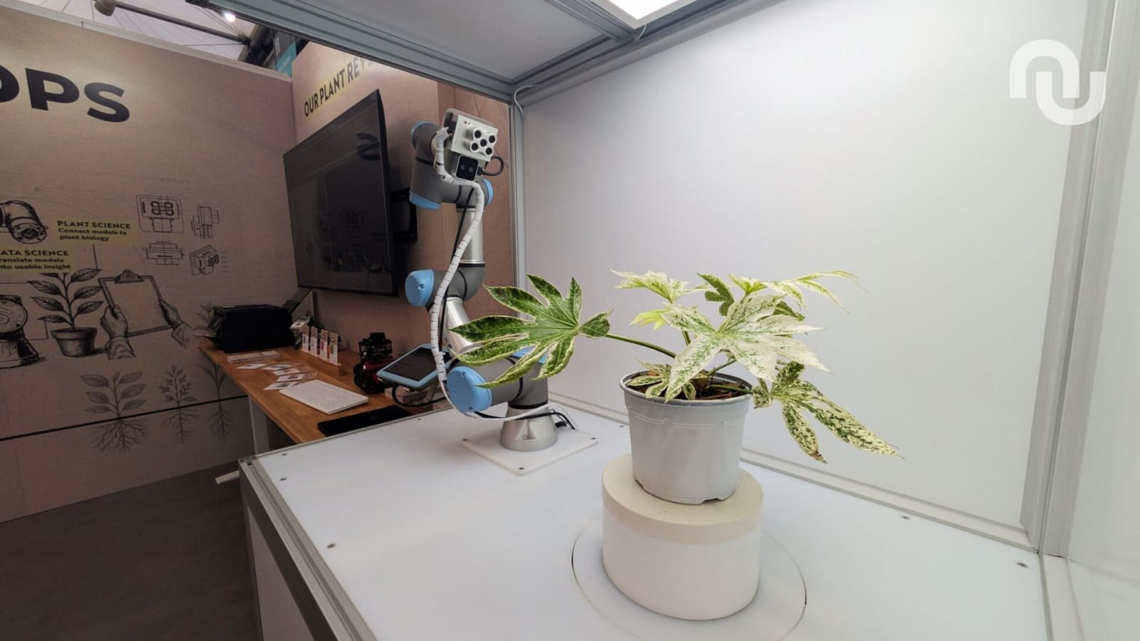 Робот PhenAIx сканирует растения с помощью ИИ для поиска устойчивых к климату сортов